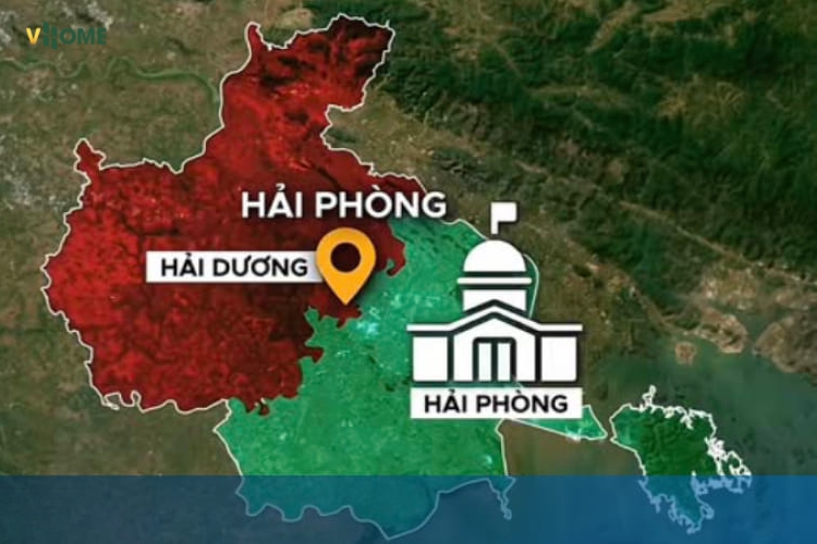 sàn nhựa giả gỗ Hải Phòng ngày càng được quan tâm